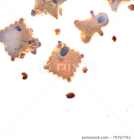 Cookies in different shapes, gluten-free, healthy dessert isolated background 79767761