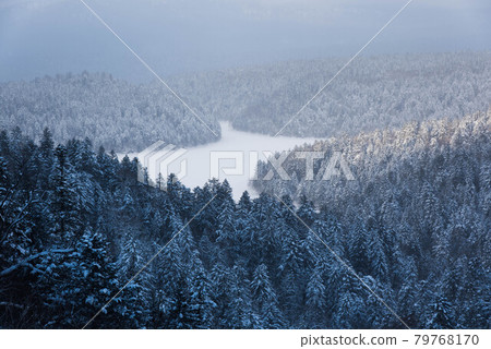 Akan no Mori and Penketou right after the snowfall Akan no Mori and Penketou right after the snowfall 79768170