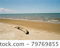 Log on beach in summer.This is photo shot by Film and Grain filter effect. 79769855
