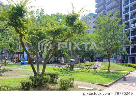 [Fukuoka City] Fukuoka Nagahama Park 79770249