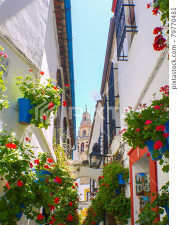 Small diameter of flowers in Cordoba, Spain Small diameter of flowers in Cordoba, Spain 79770481