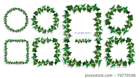 ivy liana grass brush with green leaves. Realistic brush for decorating frames, invitation cards. Vector ivy liana grass brush with green leaves. Realistic brush for decorating frames, invitation cards. Vector 79770586