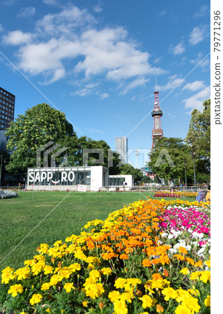 Odori Park on a sunny summer day Sapporo, Hokkaido Odori Park on a sunny summer day Sapporo, Hokkaido 79771296