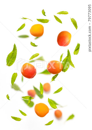 Falling juicy ripe apricot with green leaves isolated on white background. Flying defocusing slices of fruit. 79773095