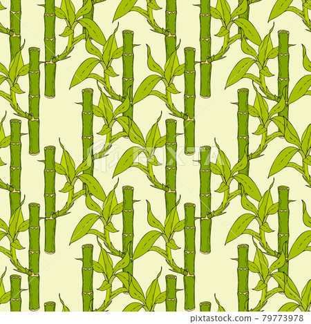 Bamboo pattern seamless hand drawing doodling on light background. 79773978