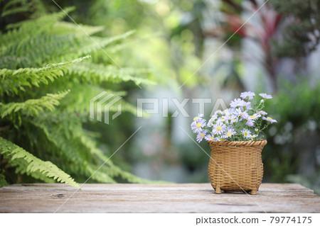 Purple Aster flowers in basket pot on brown wooden table Purple Aster flowers in basket pot on brown wooden table 79774175