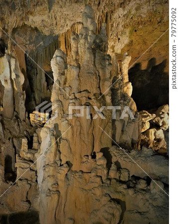 Ishigaki Island Limestone Cave, Okinawa Prefecture 79775092