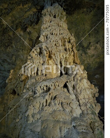 Ishigaki Island Limestone Cave, Okinawa Prefecture 79775095