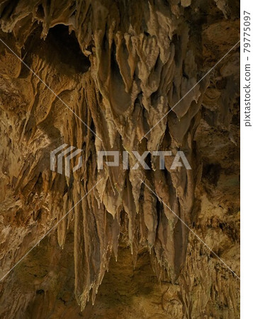 Ishigaki Island Limestone Cave, Okinawa Prefecture 79775097