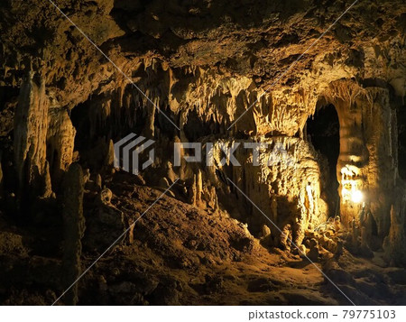 Ishigaki Island Limestone Cave, Okinawa Prefecture 79775103