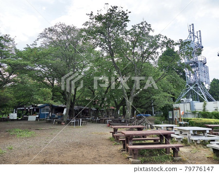 東京小佛城山 東京小佛城山 79776147
