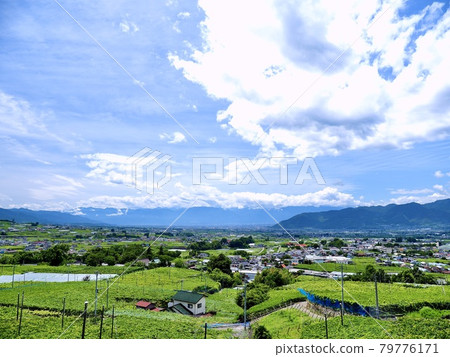 Yamanashi Prefecture Shioyama Fruit Line 79776171