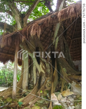 A remaining mayan ruin at San Gervasio 79776738