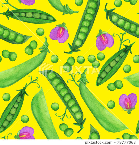 Nice watercolor green pea seamless pattern Nice watercolor green pea seamless pattern 79777068