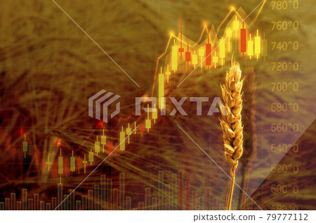 Diagram of rising food prices. Increase in the price of wheat seedson the graph with dollar sign. Put up price of seeds. Exchange quotes 79777112