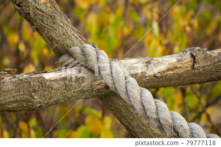 Three layers of rope tied around a wooden log, in the shade on a sunny day Three layers of rope tied around a wooden log, in the shade on a sunny day 79777118