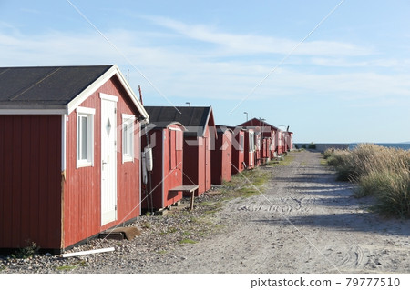 Red fishermen's huts in Skagen, Denmark  79777510