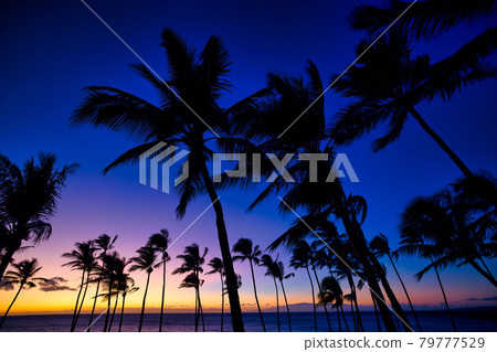 Beautiful sunset on the Big Island, Kohala Coast, Waikoloa Beautiful sunset on the Big Island, Kohala Coast, Waikoloa 79777529