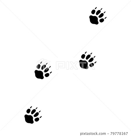 Footprints of the fox 79778167