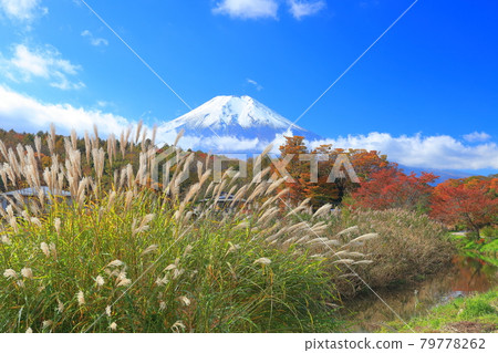 [Yamanashi Prefecture] Oshino Fuji and autumn leaves 79778262