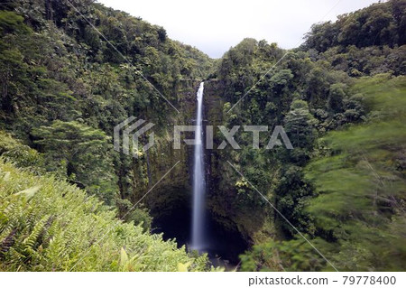 Hawaii Island, Akaka Falls 79778400