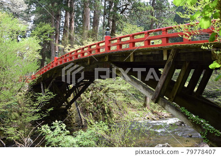 Scenery near the Haguroyama Five-story Pagoda 79778407