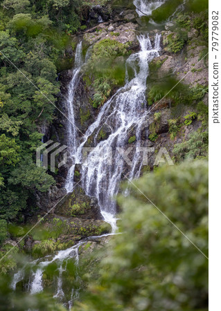 Amami Oshima Tangyo Waterfall Amami Oshima Tangyo Waterfall 79779082