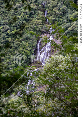 Amami Oshima Tangyo Waterfall Amami Oshima Tangyo Waterfall 79779083