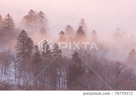 Coming fog Coming fog 79779372