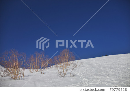 春季攀登乘鞍山 春季攀登乘鞍山 79779528