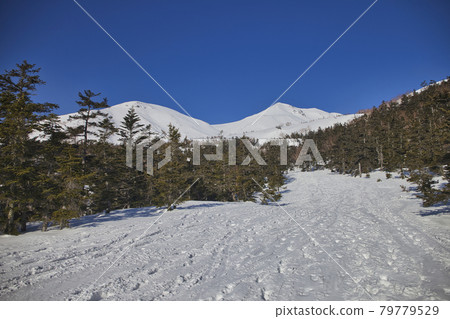 Spring climbing Mt. Norikura 79779529