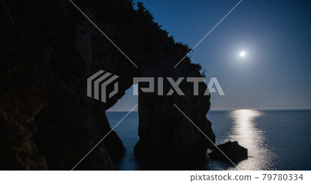 Ritsugeniwa 79780334