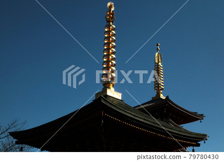 Tokyo Asakusa, Sensoji Temple precincts, five-storied pagoda and sutra-copying memorial tower 79780430