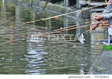 Herahuna fishing Herahuna fishing 79780861