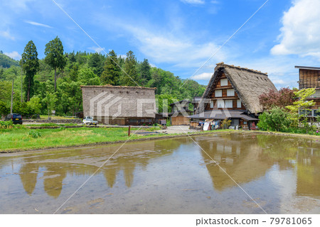 world heritage village Shirakawa Village 79781065
