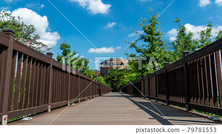 城市公園木製立體交叉人行道和藍天的風景 79781553