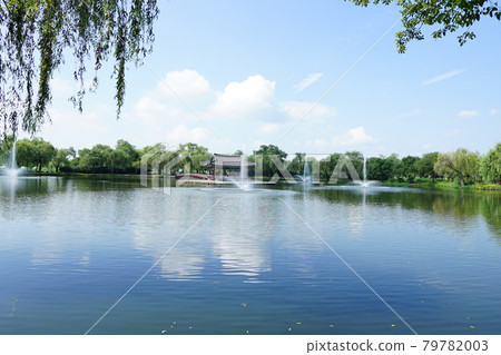 Palace, Buyeo-gun, Chungcheongnam-do, lotus, algae 79782003