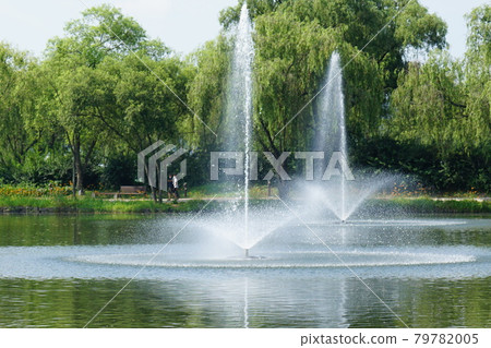 Palace, Buyeo-gun, Chungcheongnam-do, lotus, algae 79782005