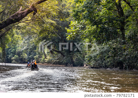 River cruise along scenic Tahan River with lush rainforest foliage at Taman Negara National Park, Pahang River cruise along scenic Tahan River with lush rainforest foliage at Taman Negara National Park, Pahang 79782171