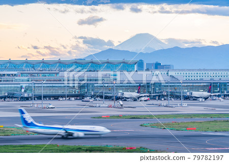 Airport Airplane Haneda Airport Takeoff Afternoon Dusk Night Airline Engine Brake Terminal 1 Mt. Fuji 79782197