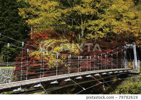 Suspension bridge, autumn 79782619