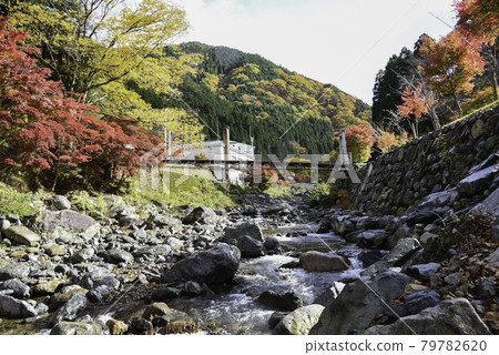 Take a break in the autumn mountain stream Take a break in the autumn mountain stream 79782620