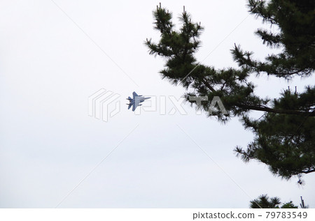 一架 F-15 戰鬥機在天空中飛行,即將隱藏在前景的松樹中的組成 一架 F-15 戰鬥機在天空中飛行,即將隱藏在前景的松樹中的組成 79783549