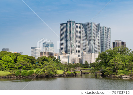Tokyo Bay Area Cityscape Tokyo Bay Area Cityscape 79783715