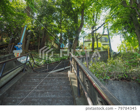 Wako City, Saitama Prefecture, 100 steps 79784345