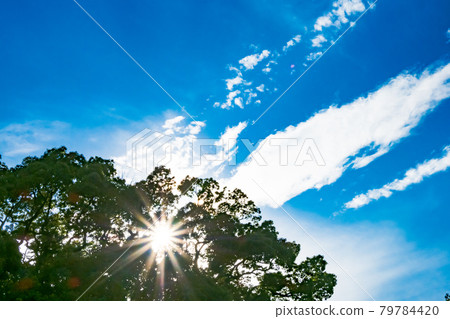 Shine of sunlight through the blue sky Shine of sunlight through the blue sky 79784420