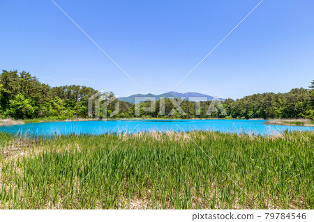 Fresh green Urabandai, Goshikinuma Fresh green Urabandai, Goshikinuma 79784546