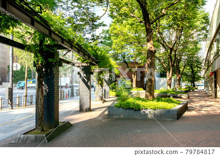 Sukiyabashi Park in Chuo-ku, Tokyo 79784817