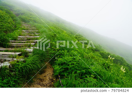 Akita Komagatake Road from the evacuation hut to Omedake 79784824