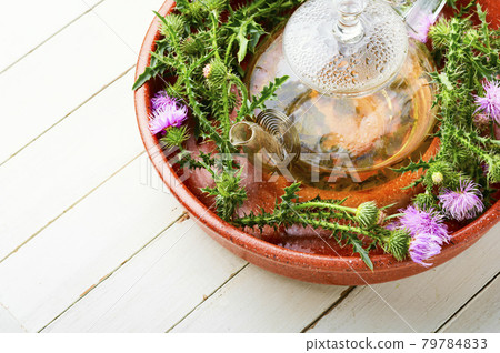 Thistle in herbal medicine 79784833